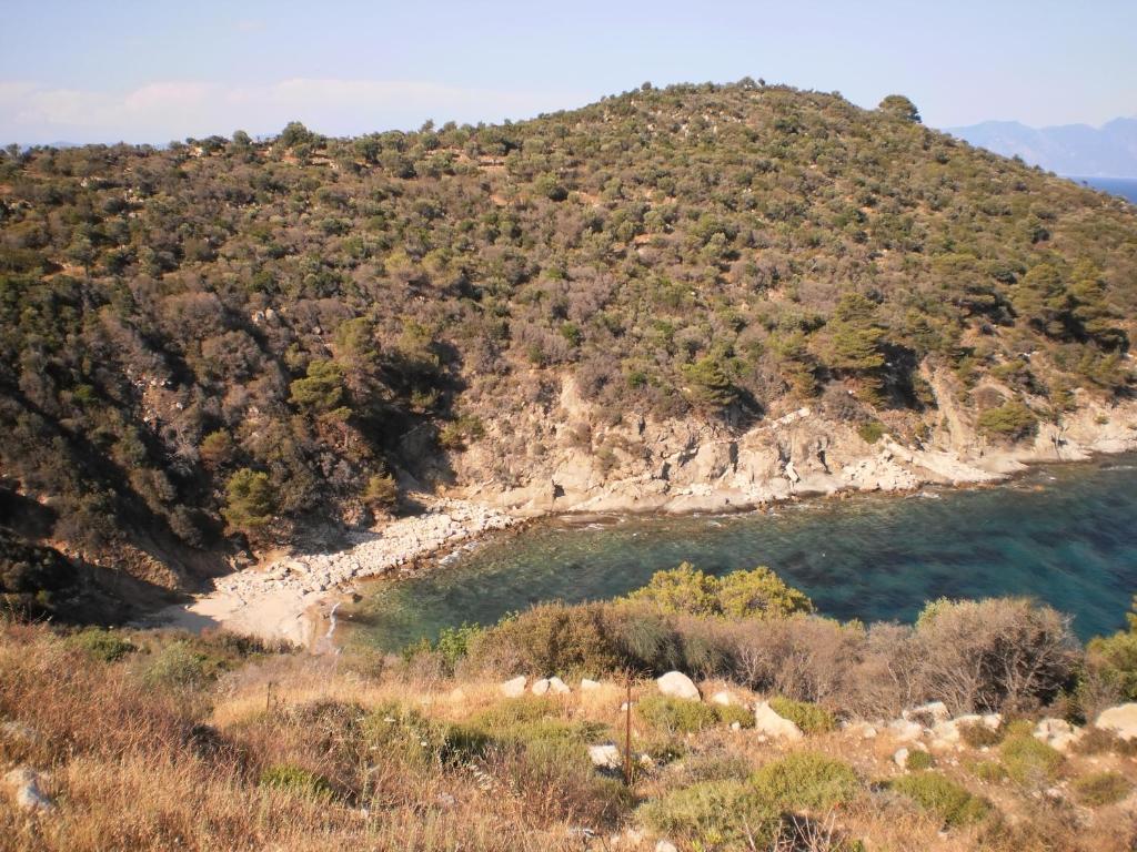 Vergina Pension Sarti Luaran gambar